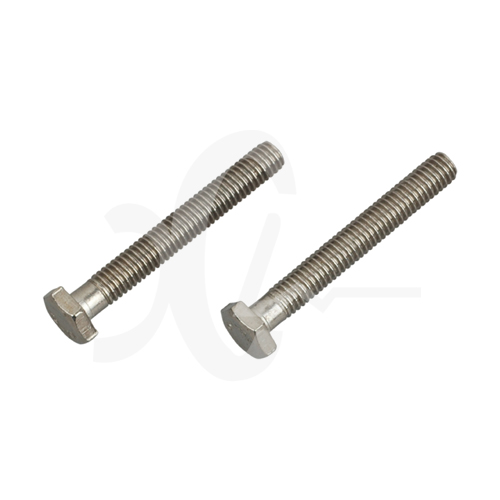 Stainless Steel Screw