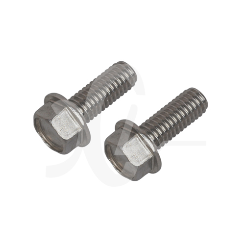 Stainless Steel Screw