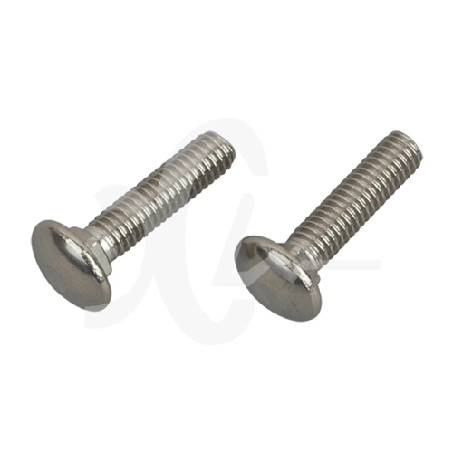 Stainless Steel Screw