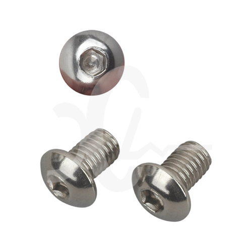 Stainless Steel Screw