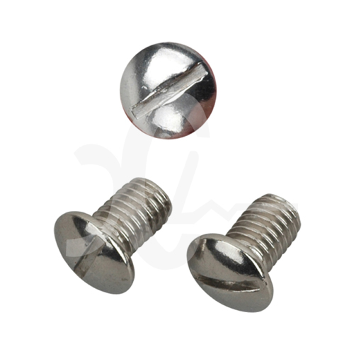 Stainless Steel Screw