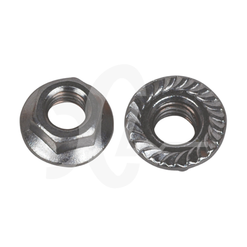 Stainless Steel Screw